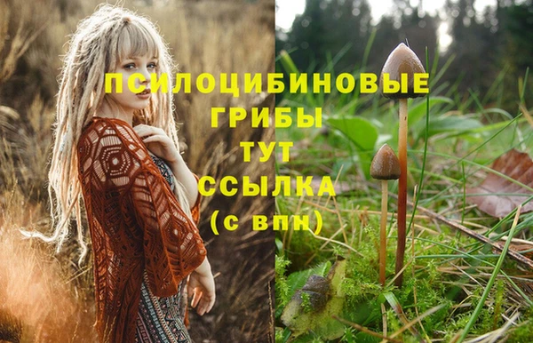 бутик Абаза